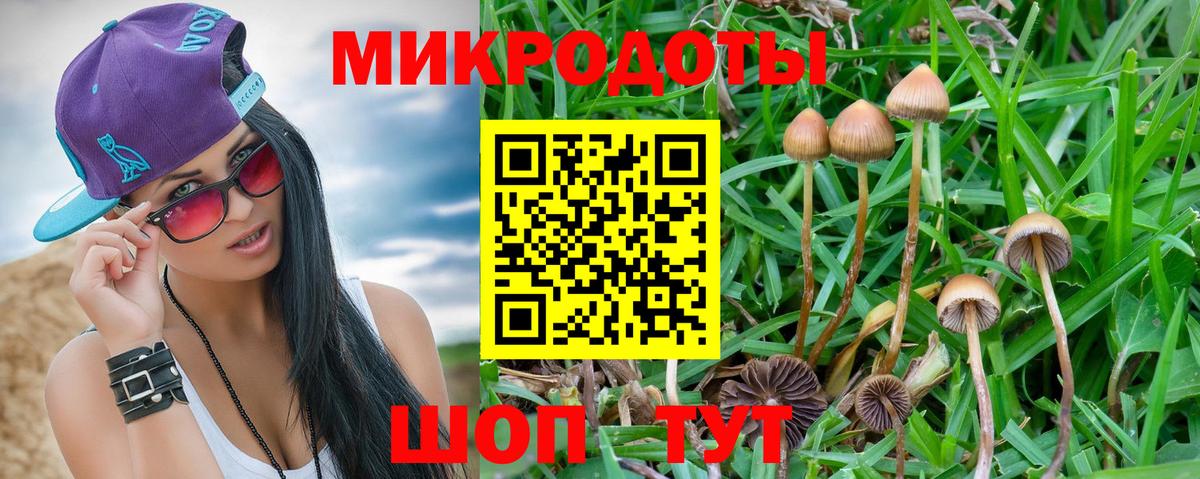 Наро-Фоминск  Псилоцибиновые грибы MAGIC MUSHROOMS  Галлюциногенные грибы прущие грибы  Вход с VPN 