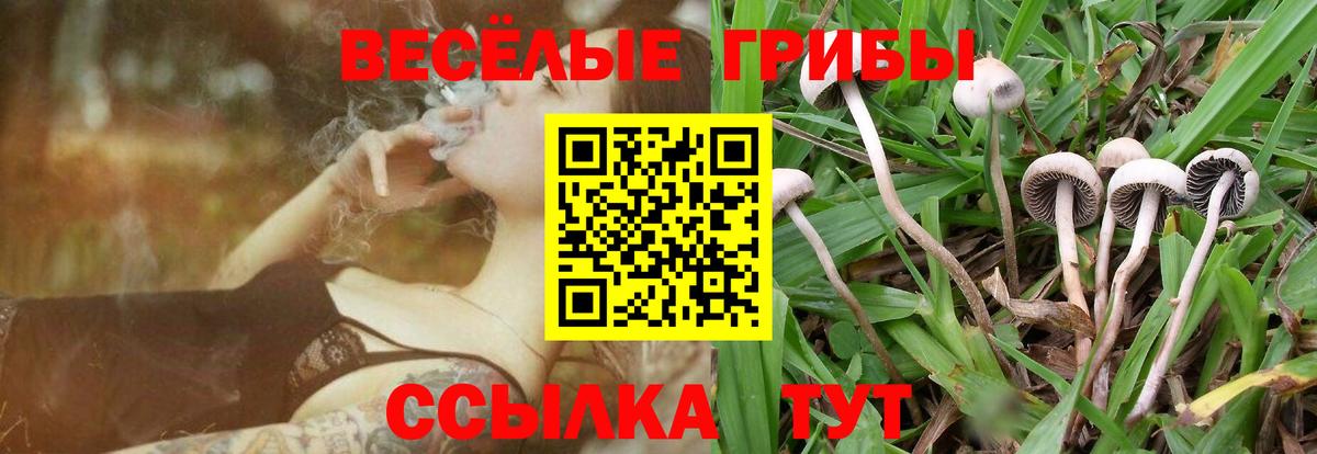 Галлюциногенные грибы мицелий Наро-Фоминск
